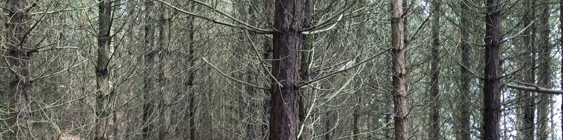 Strandhill, Sligo (condado), Irlanda