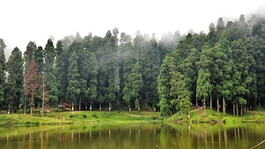 Mirik Lake,Darjeeling....Natural Greeneries surrounding the Lake of Mirik is a Beautiful  Tourist Attraction.