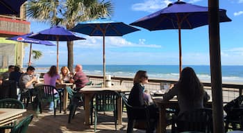 Lunch Vacation
This tranquil "spot" is 45 minutes from my office in bustling downtown Houston. When it gets too crazy... a little break along the shores of the Gulf of Mexico is a welcome treat. December and 72°, Christmas music and waves.