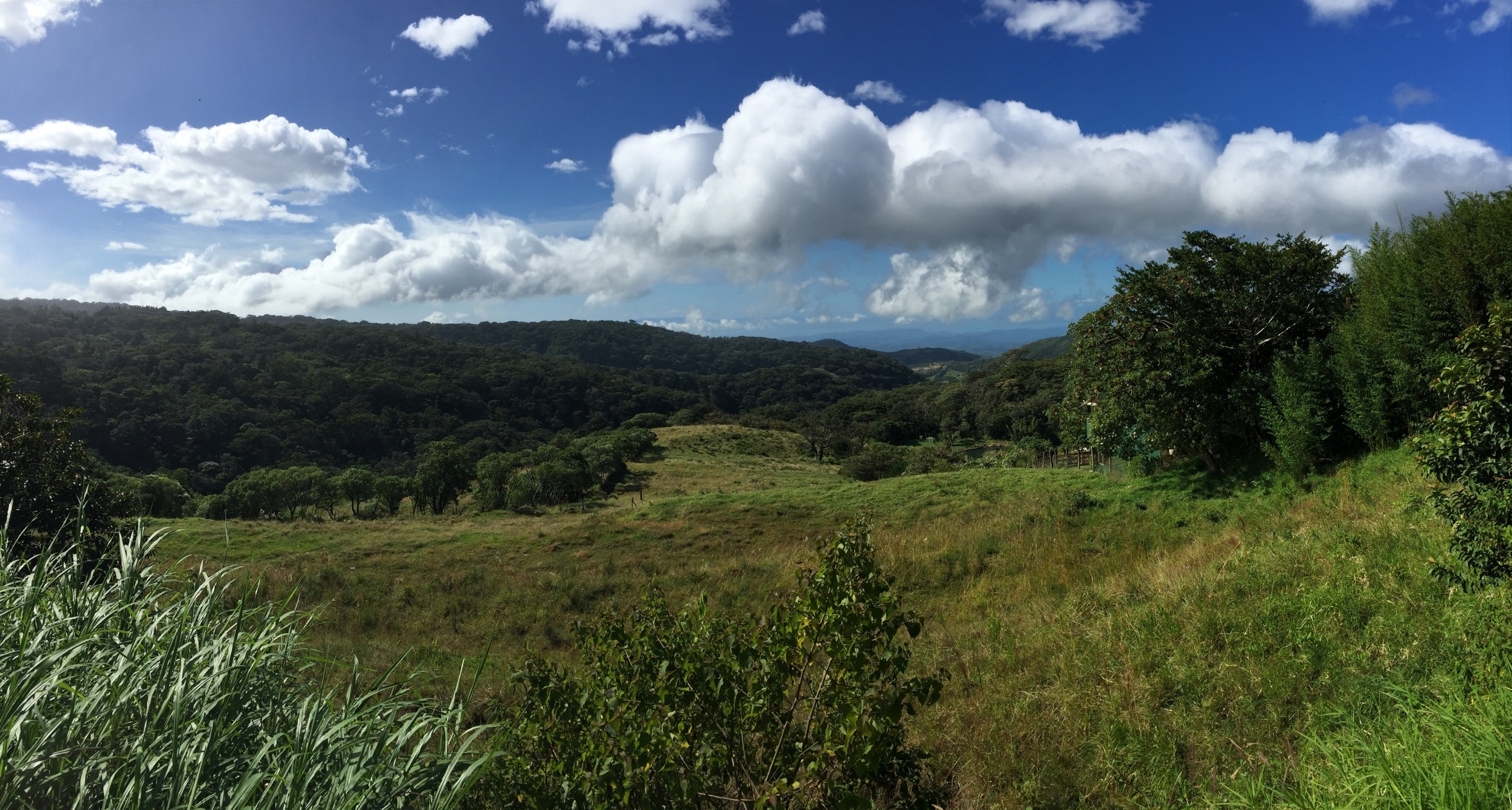 Reisetipps Monteverde 2023 das Beste in Monteverde entdecken Expedia