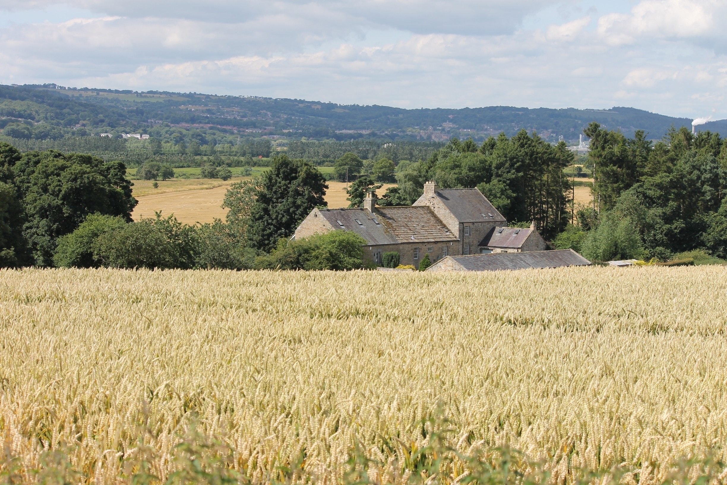 Foto av Adrian Roberts