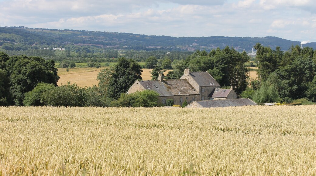 Foto av Adrian Roberts