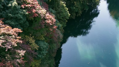 The view from a bridge that crosses over a part of Lake Shiromaru.

This lake is part of Tama River, and the water here is especially blue. It's a popular spot for weekend drives and day trips from the city, especially for those who want to treck or hike along the river. Okutama area is also very popular for their fall foliage in November. 

This is one of my favorite places to get away from the city!


Closest station: Shiromaru Station on the Ome Line, approximately 1.5h from Shinjuku.