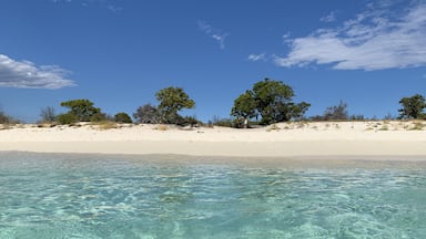 Bahia de Las Aguilas is a remote beach in the southwestern part of the Dominican Republic, close to the border with Haiti. The place is still very underdeveloped, with no hotels and only two glamping resorts. Both glamping resorts we’re supposed to be eco-conscious, so imagine our disappointment when we saw that single use plastic was everywhere. We took time to talk to the owner and explain that in such a remote place, it’s a lot more convenient in the long run to do away with plastic altogether. Guess what - he listened, and the dinner table was set up with reusable cups and plates. A small win for responsible tourism! 

#TroverRT #GoDomRep