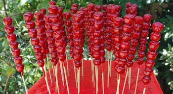 Candied hawthorne berries for sale in Qianling Mountain Park.

In Guizhou's capital city of Guiyang, one can find a mountain park full of monkeys, buddhist effigies, lush trees, and of course: delicious street food vendors.

#SweetSpot #china #streetfood