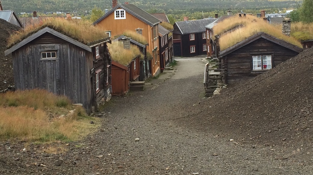 Slegghaugan, Roros, Trøndelag, Norway