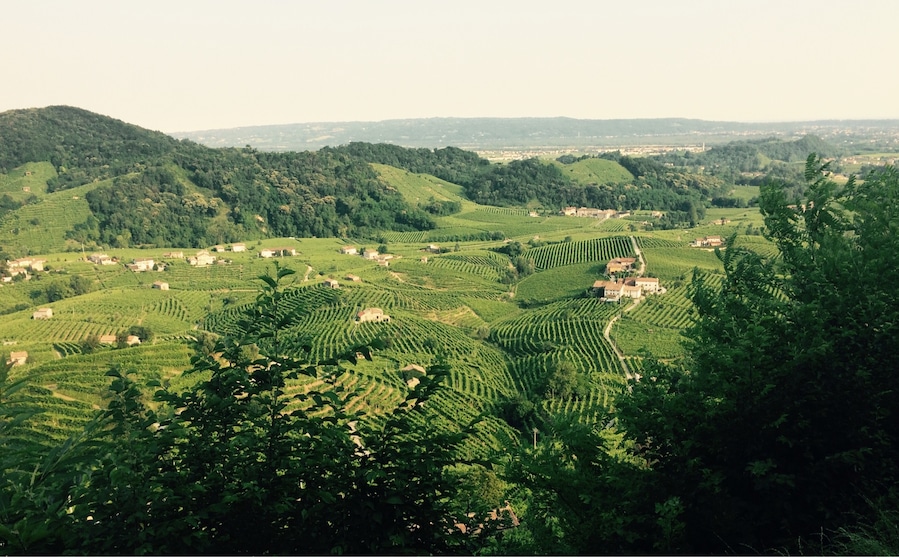 June 2017 - panorama dei vigneti delle colline di Valdobbiadene.
"L'osteria senza oste" è un posto meraviglioso dove fare tappa quando si percorre la strada del Prosecco! Un luogo incredibile!