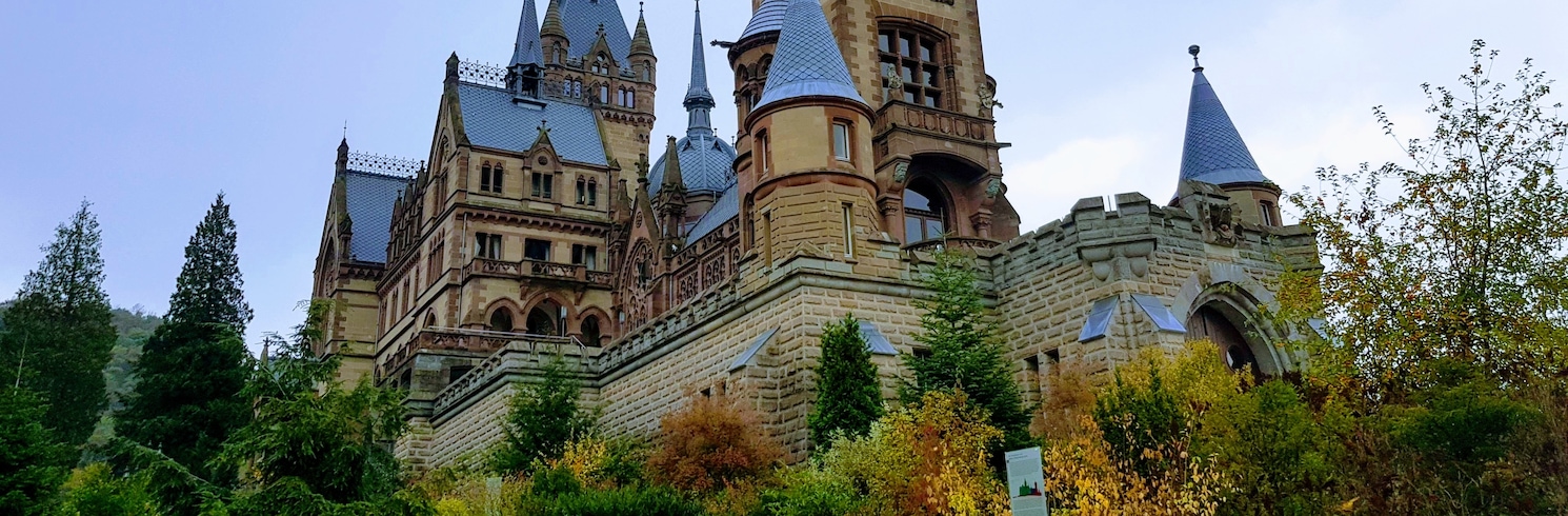 Kėnigsvinteris, Vokietija