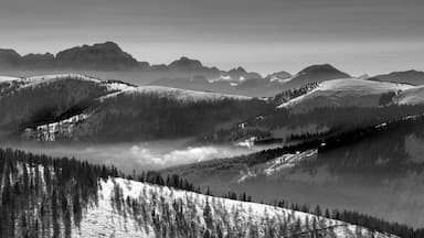 Took this shot in Austria. I just loved the way the clouds hugged the valley floor