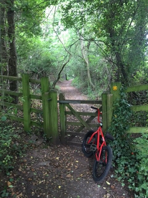 Billede taget af Steve Olds