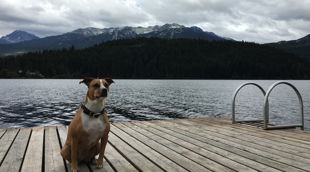 Alta Lake, Whistler, British Columbia, Canada