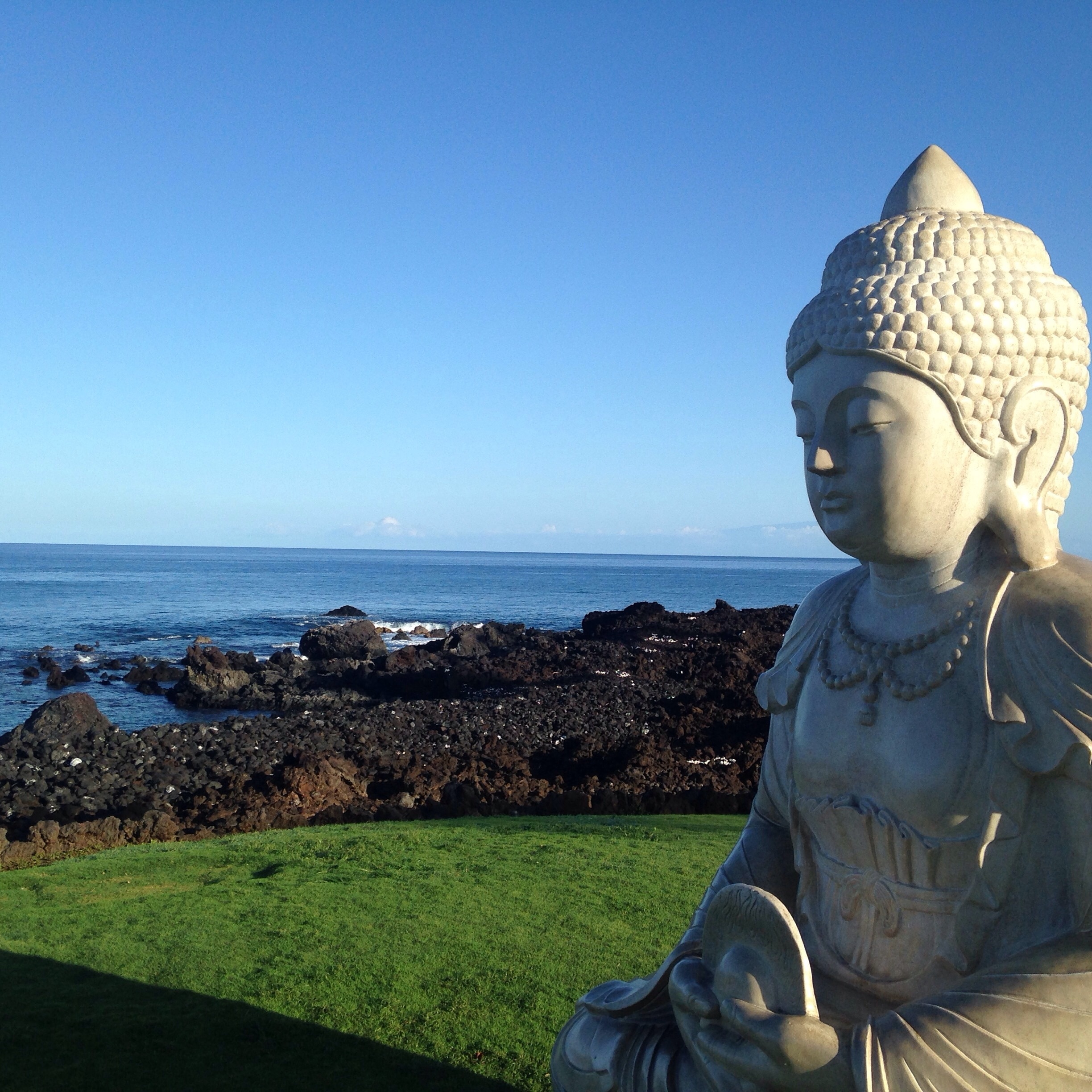 Anaehoomalu Beach Vacation Rentals house rentals & more Vrbo