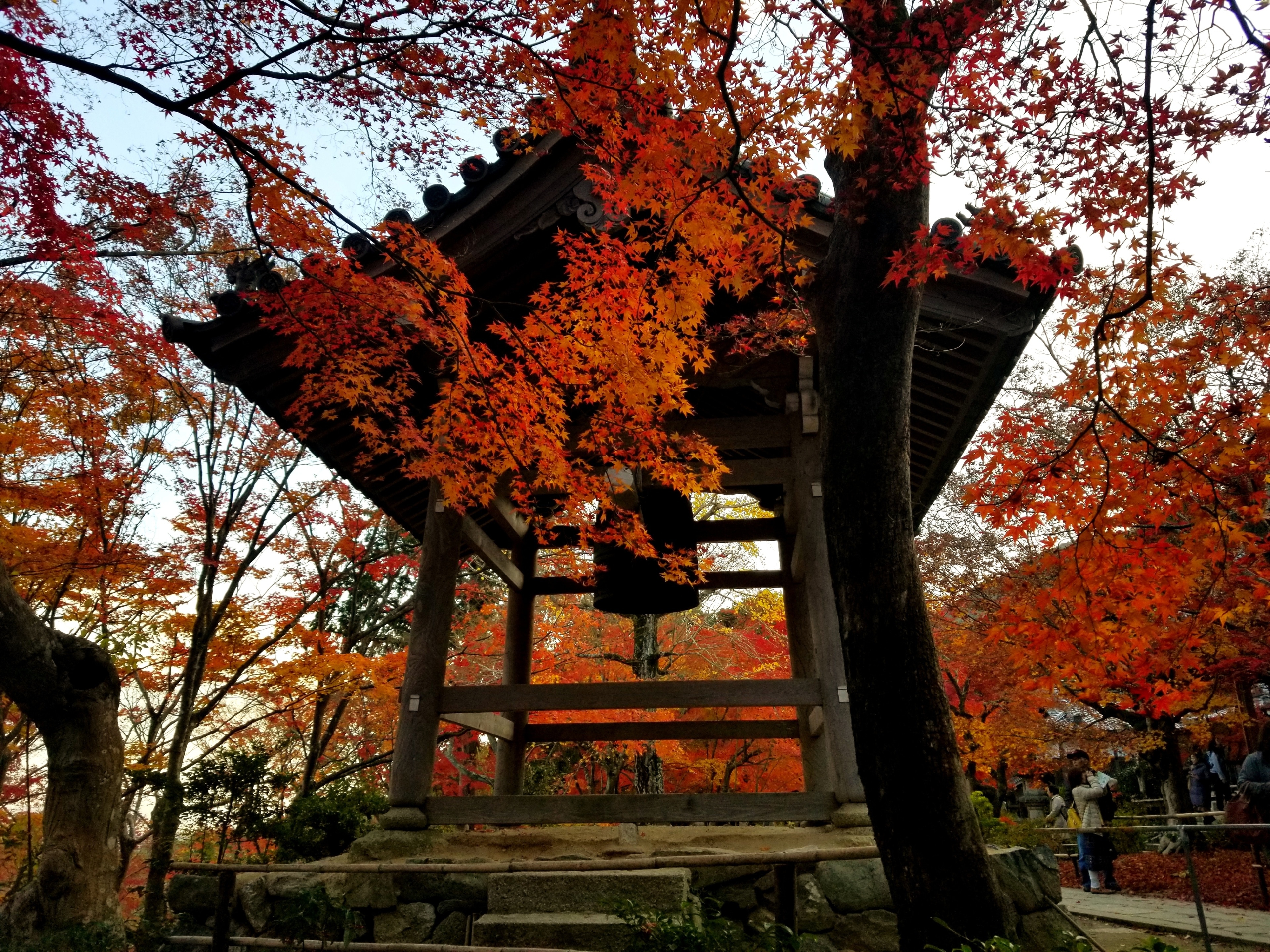 Jojakko-ji Temple is much less crowded than other temples in Kyoto and has stunning views of the city at the top of the stairs. Visiting in the Fall when the leaves turn red is a must!
#LifeAtExpedia