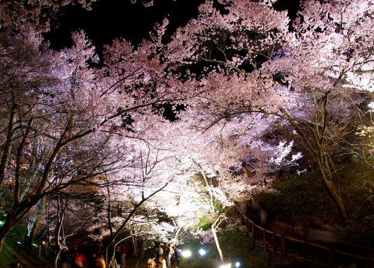 高遠城址公園附近飯店 18 Top 10 伊那自由行住宿推薦和優惠 Hotels Com 高遠城址公園附近飯店 18 Top 10 伊那自由行住宿推薦和優惠 Hotels Com