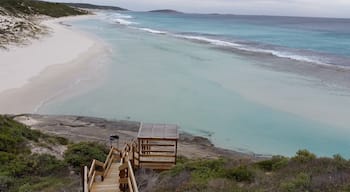 One of the beautiful collection of beaches in Esperance, Western Australia. The beaches here are sweeping, raw and relatively untouched. There are over 7 beaches within a 10km stretch
