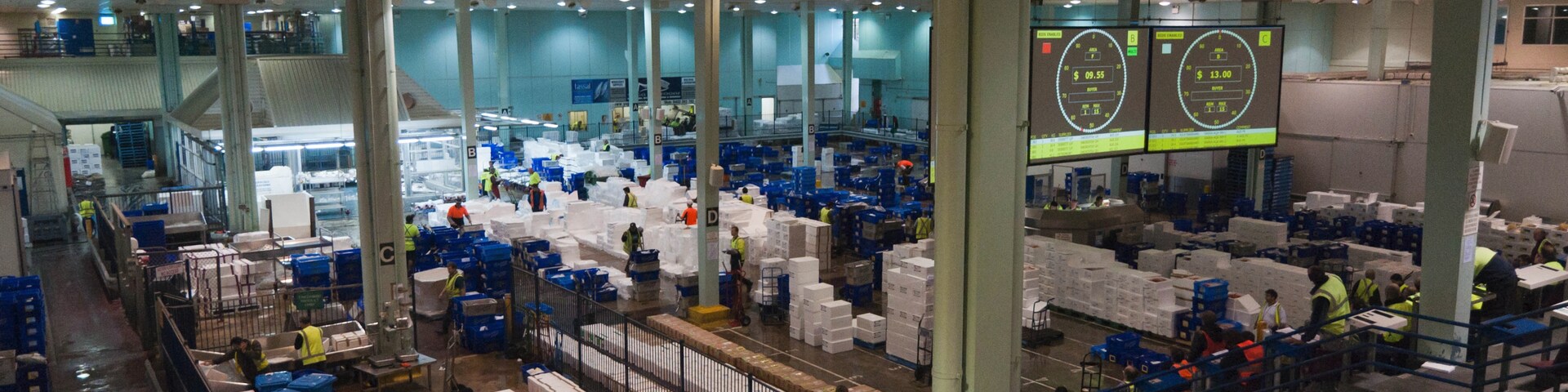 พีร์มอนต์, ซิดนีย์, นิวเซาท์เวลส์, ออสเตรเลีย