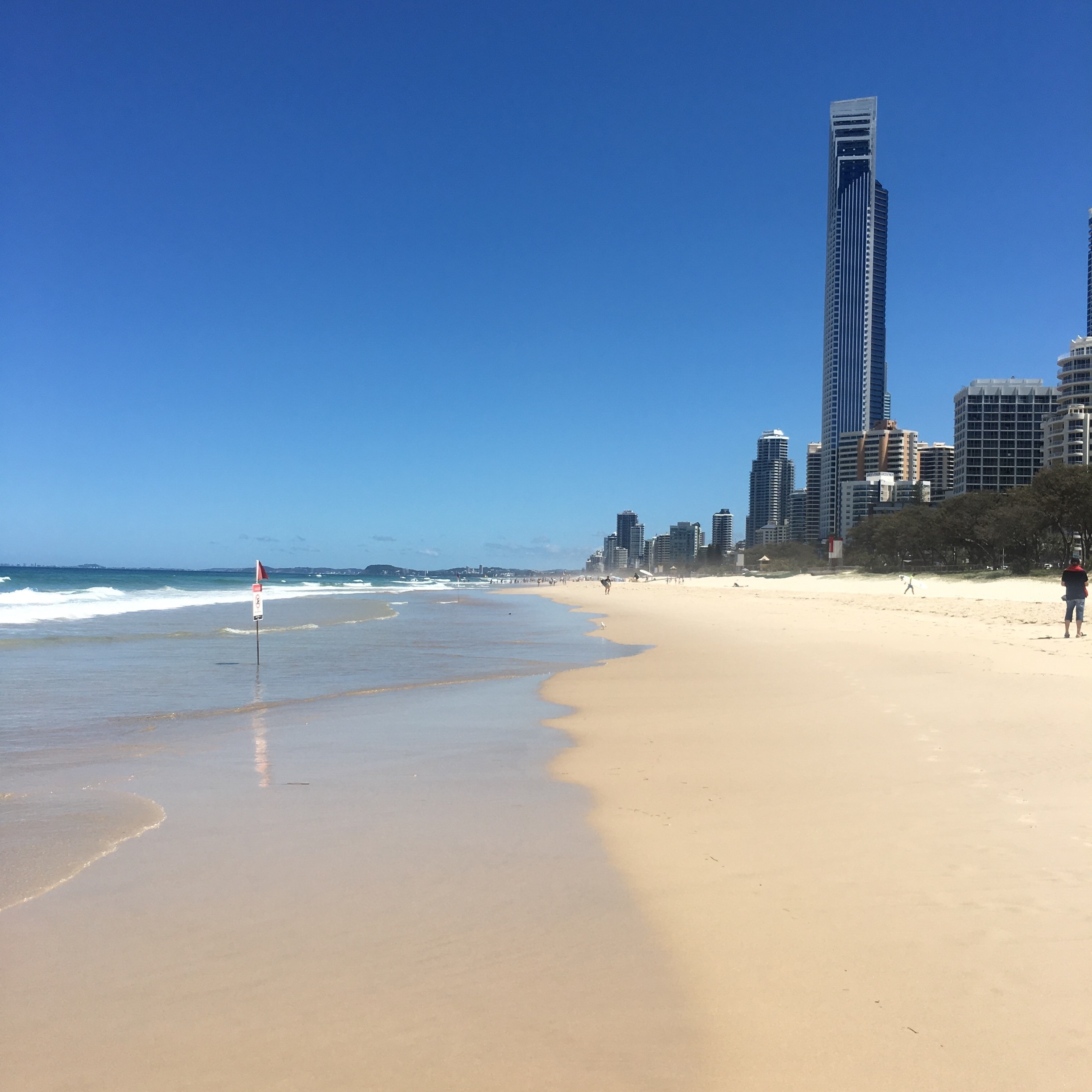 Surfers Paradise Beach in Queensland - Tours and Activities