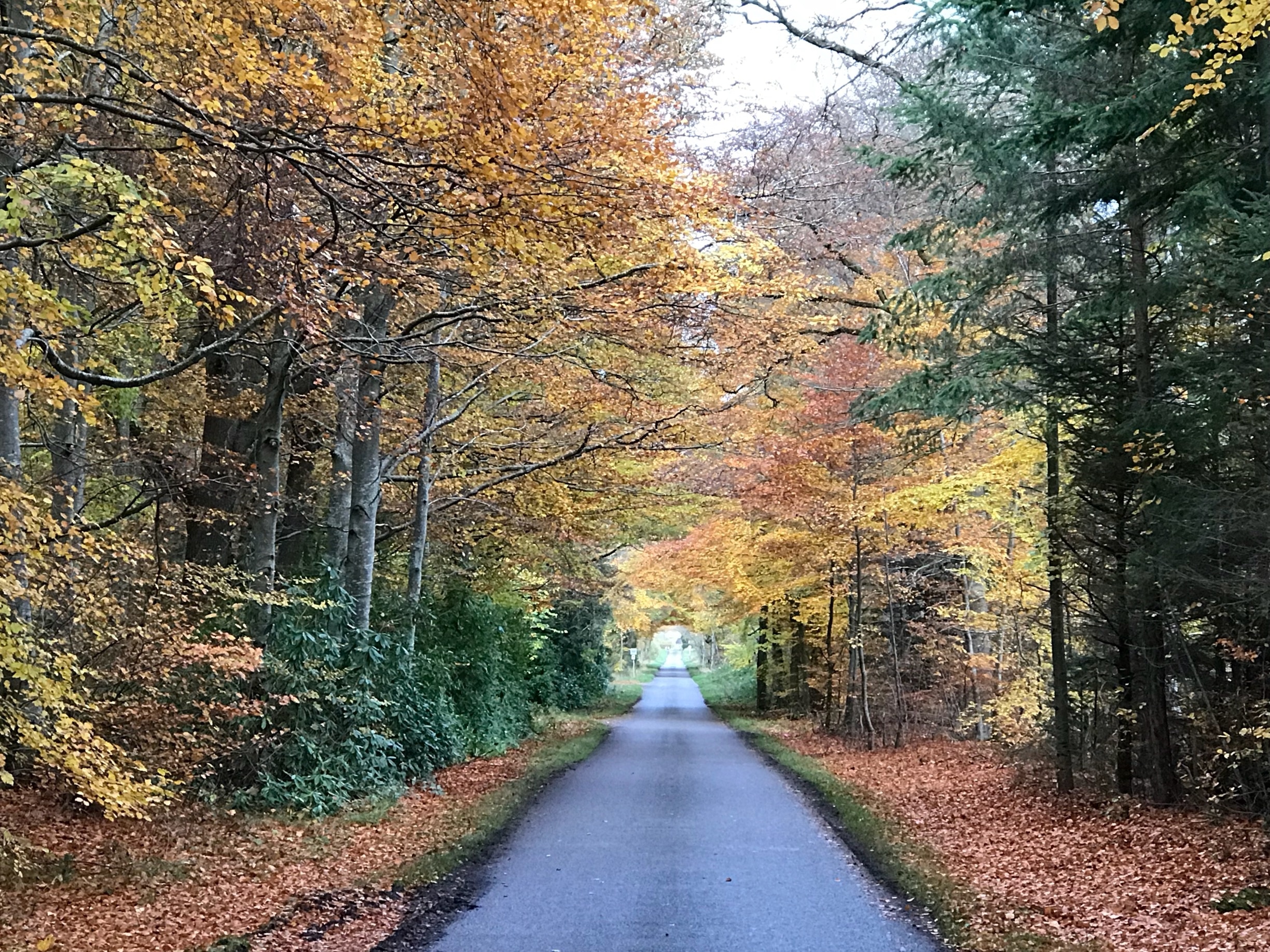 Self Storage Elgin Scotland Dandk Organizer