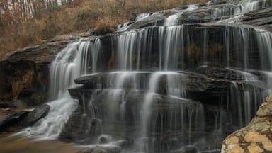 A beautiful gem that, for some reason, isn't too popular.  However it is very easy to reach and is a stunning waterfall.  Highly recommend.  For a video guide of the falls please visit:  https://www.hdcarolina.com/episode/todd-creek-falls
#Waterfall