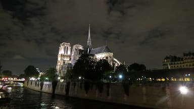 Beautiful night view of Notre Dame.