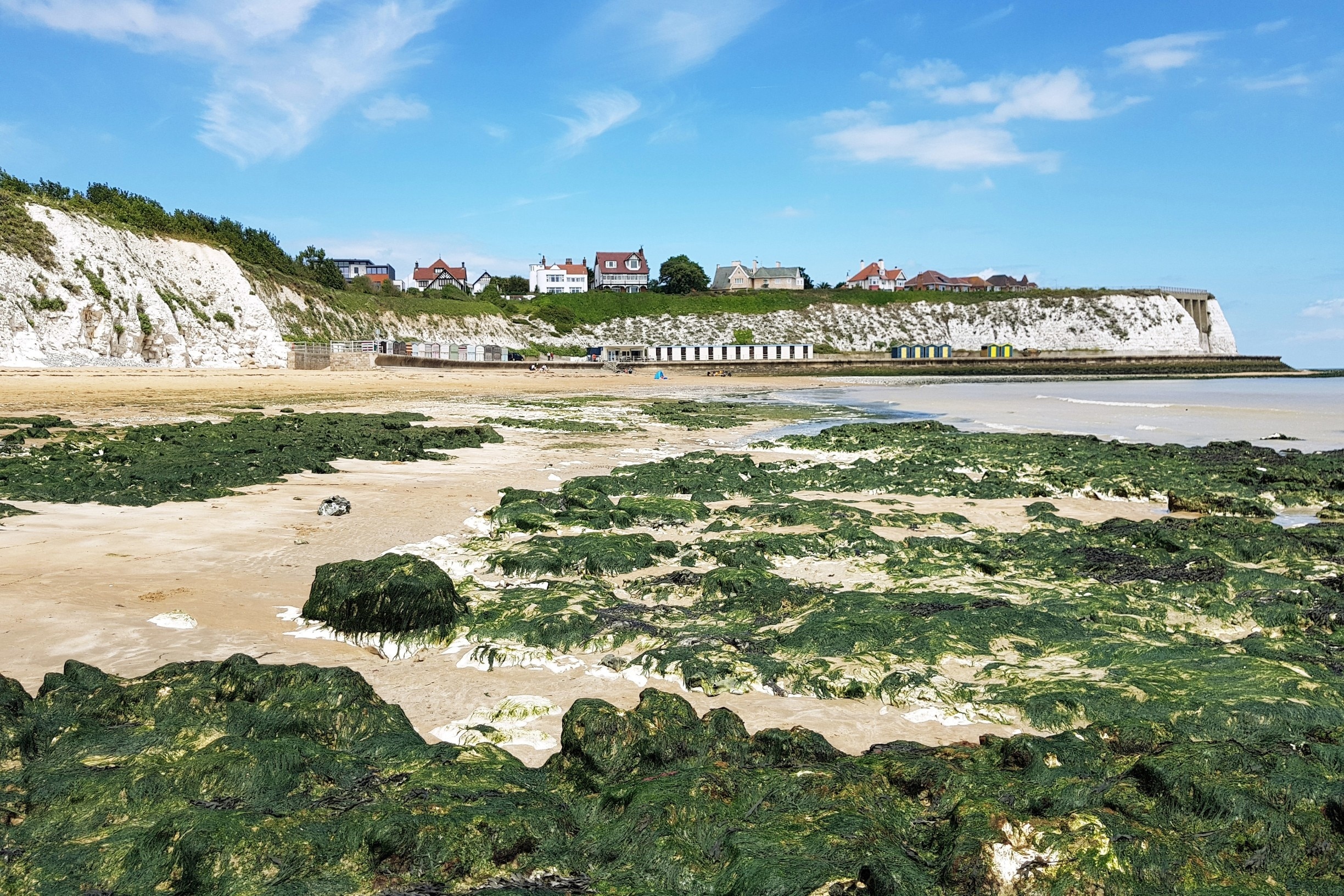 what beaches allow dogs in thanet