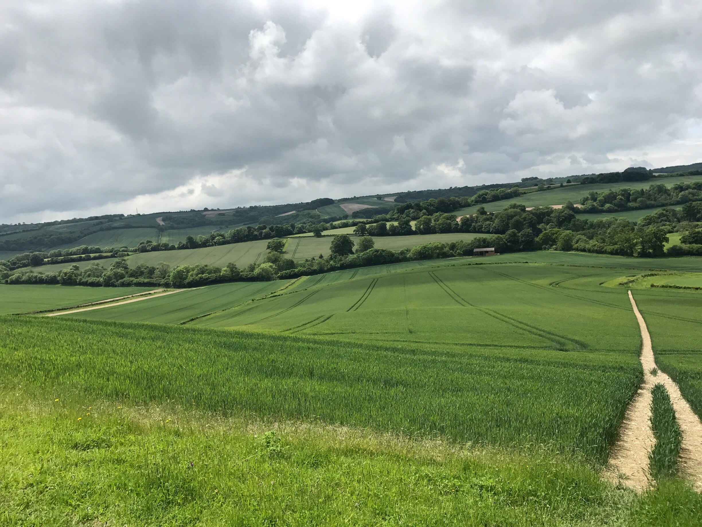 Foto von Simon Campbell