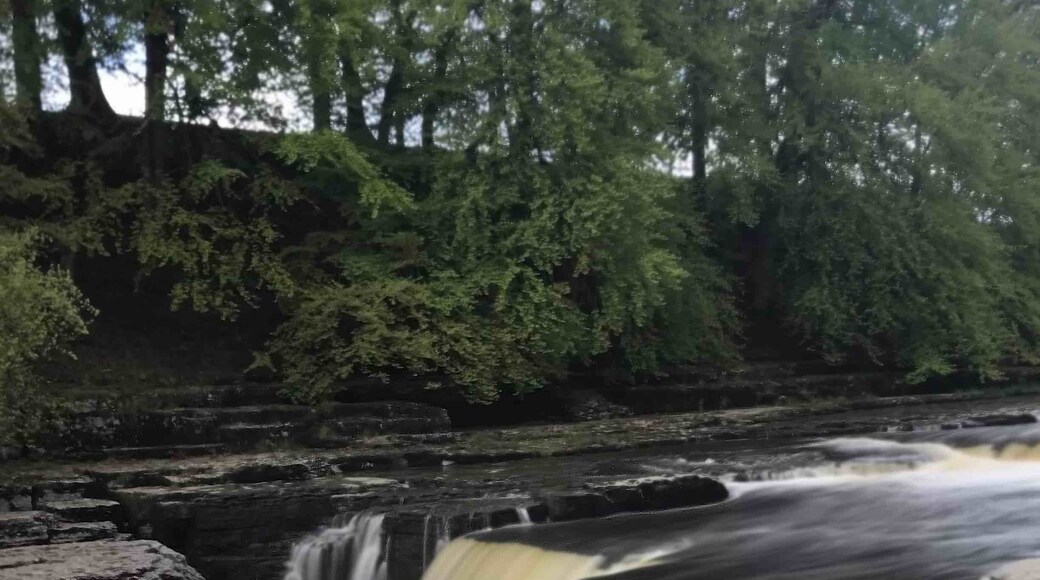 Foto av Mike Shorten