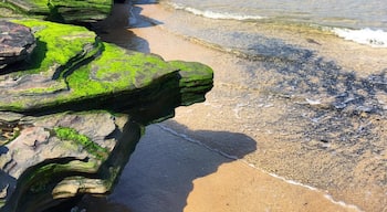 A natural rock formation relaxing by the shore. Extremely pretty with the moss that is hugging it ever so tightly 🌊 #patterns #beachbound