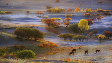 Autumn to the #UlanBuhGrassland, Inner Mongolia of China.
乌兰布统之秋
https://twitter.com/Beautifulgx 