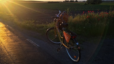 One of my favourite sunsets, all-time. We were somewhere between Kåseberga and Nybrostrand, at 10pm, mid-June.
#GoldenHour