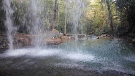 value: "Pringle Run Falls. A glimpse from the other side. #AquaTrove"
