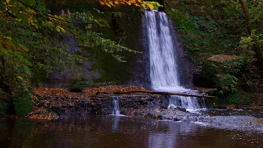 The Falls at Wepre
By iPhone