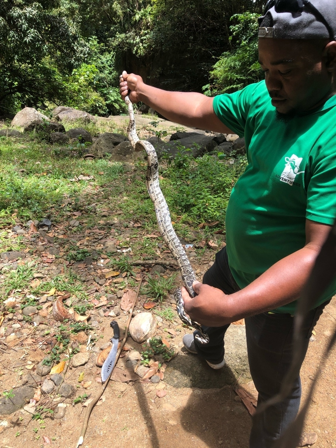 Our guide who took us Ziplining stopped to show us some other local area highlights and took us to an amazing waterfall and found a Boa Constrictor.  Picked it up as if it was nothing Haha what a brave man. Boas are found all over the island. #SaintLucia #IslandLife #Carribean #WestIndies #Island #Snake #Boa