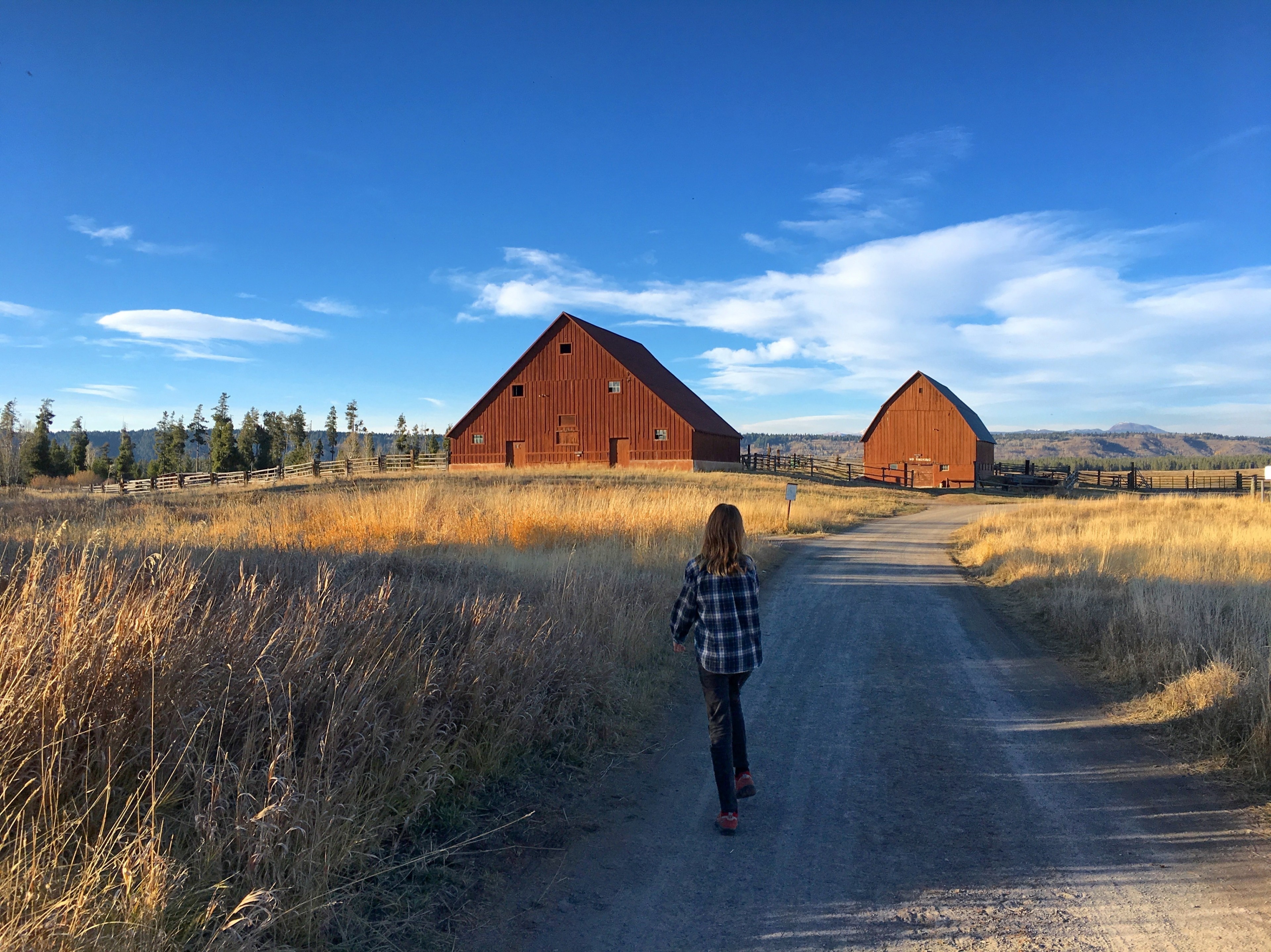 Harriman State Park in Idaho is just outside Yellowstone's border. We rented the bunkhouse with eight (!) other families for a weekend of hiking, mountain biking, and Nerf battles. Plus, a whole lot of eating. There are also a couple yurts and smaller cabins for rent. 