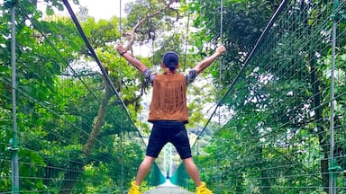 Hanging Bridge 
Arenal