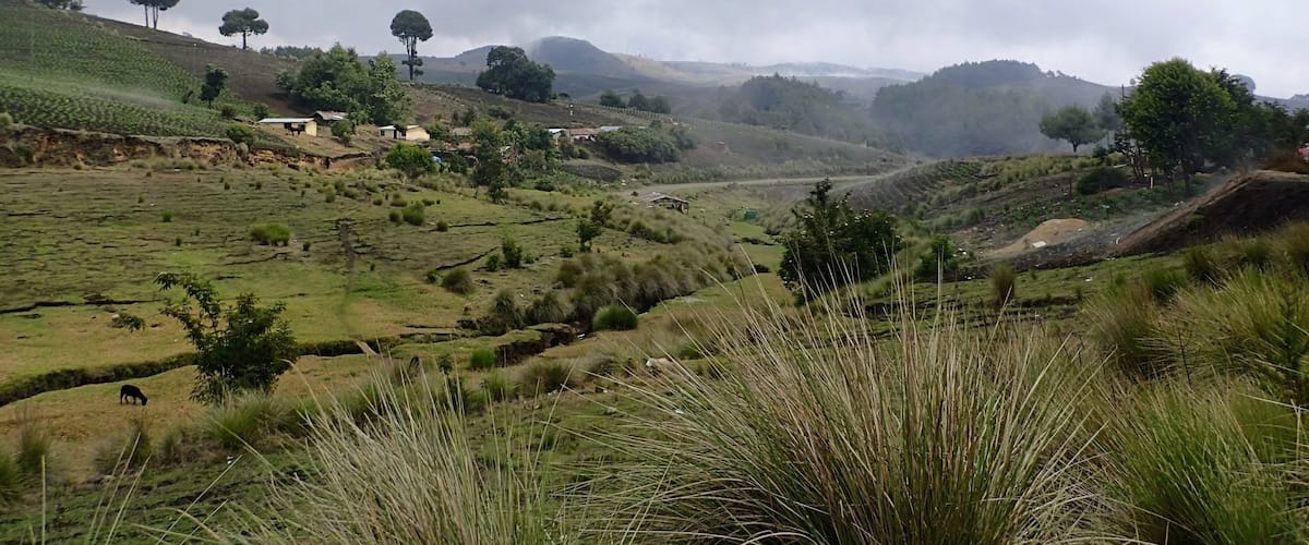 The photo was taken somewhere between Quetzaltenango and the Lago de Atitlán.
We walked from one place to the other in 3 days with Quetzaltrekkers which was a great experience.