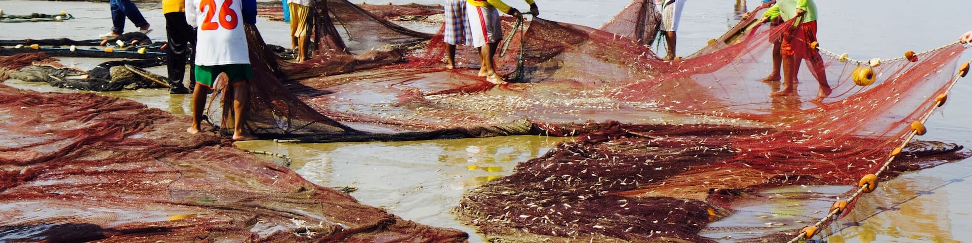 We enjoyed watching the fisherman at work on this lovely #beach. 
However, if you go out in the water make sure you shuffle your feet to avoid stepping on a stingray! My friend learned this lesson the painful way.