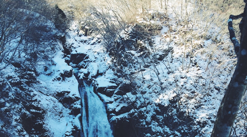 Akiu Otaki Falls, Sendai, Miyagi Prefecture, Japan