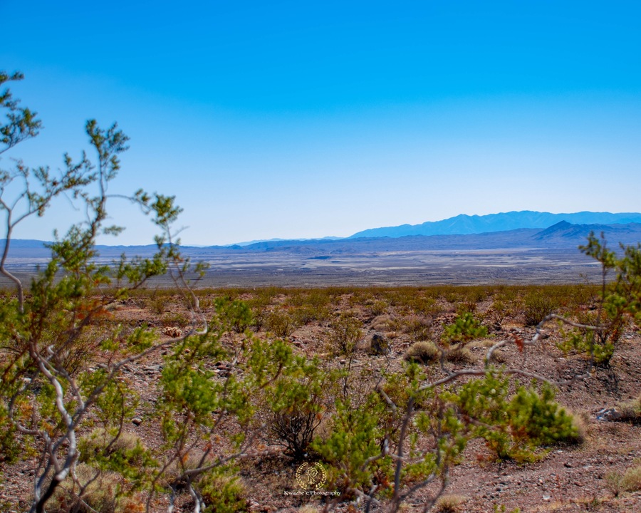 2020 of Feb 23th - Charles Brown Hwy, Shoshone, California