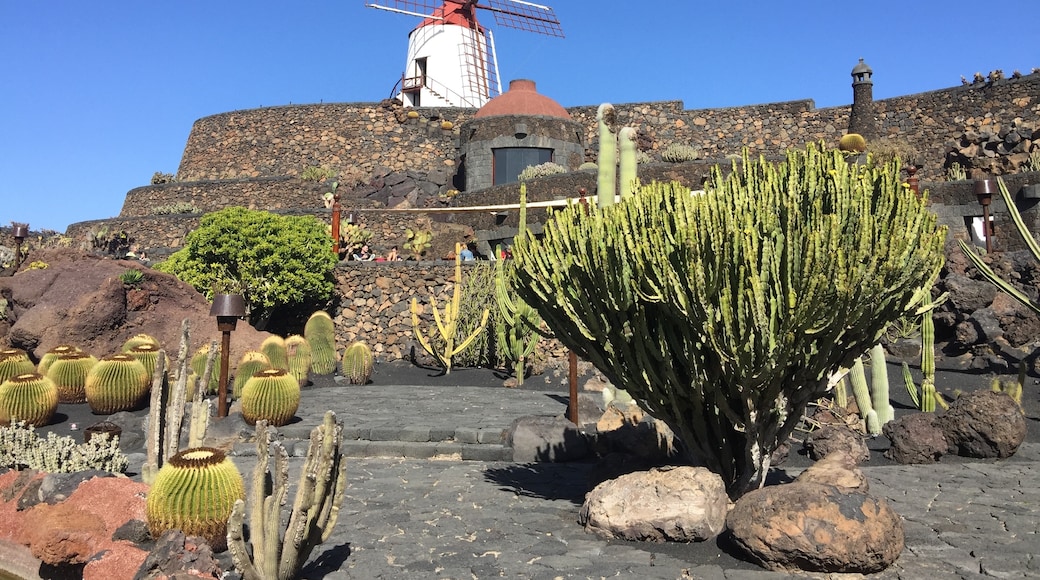 Cactus Garden, Teguise, Canary Islands, Spain