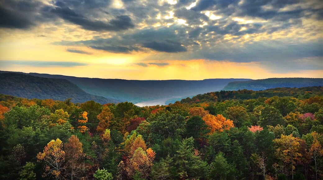 Photo by Michael Hawkins