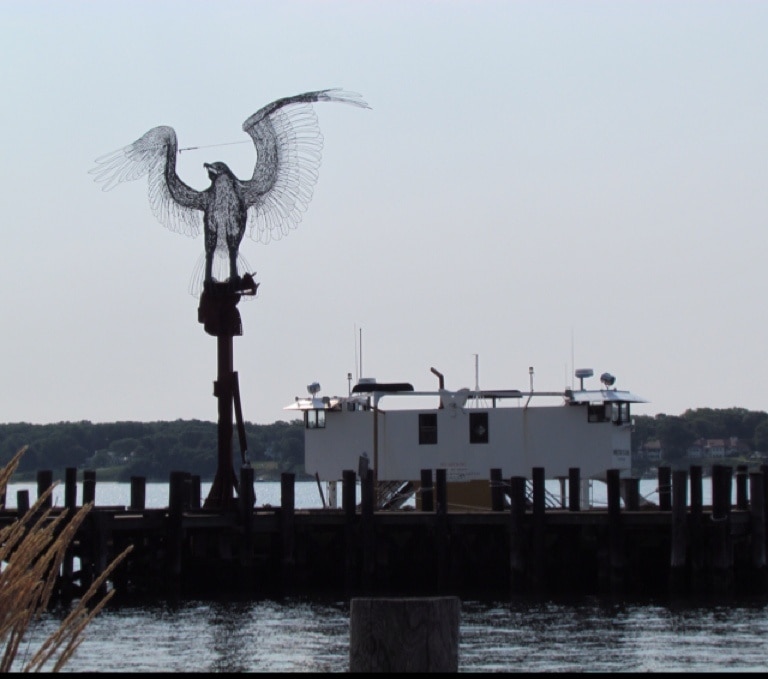 Photo by Brian V. Rowe