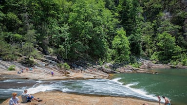 This is Bridal Veil Falls on the Tallulah River at the bottom of Tallulah Gorge on a hot June day.  Even though it's a steep climb down into the gorge, many young kids and teenagers love to come here to slide down Bridal Veil Falls into the pool below.  The problem - the quarter mile climb out is extremely steep and more like a rock climb than a hike. 