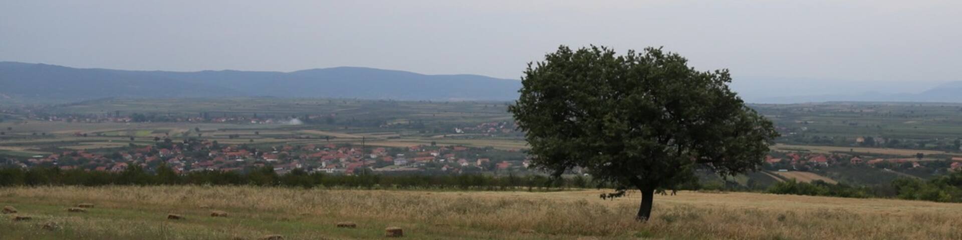 Beatuiful view of the Serbian countryside just outside Prokuplje, Serbia. We stoped with our car to enjoy the scenery and waving to all the farmers with their tractors passing by. From our journey to Mongolia, july 2014, for the SOS Children's Villages. #theadventurerally #projectmongolia #soschildrensvillages #aventyrsrally #hampuselinochhajen #arvika #sweden #july2014