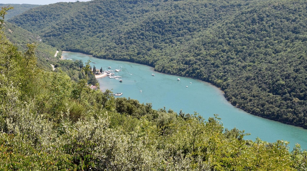 Marasi, Vrsar, Istria County, Croatia