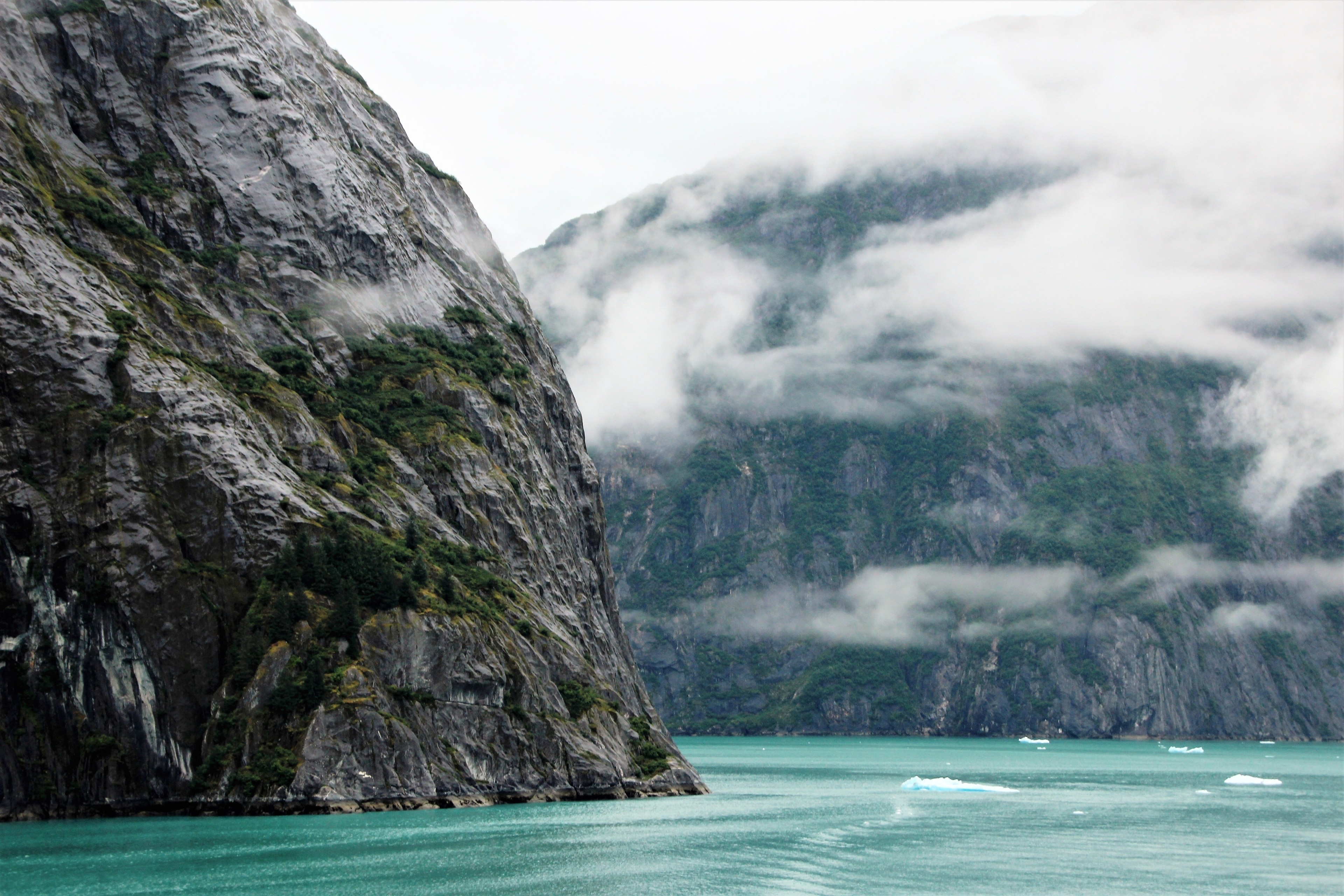 juneau fjord tours