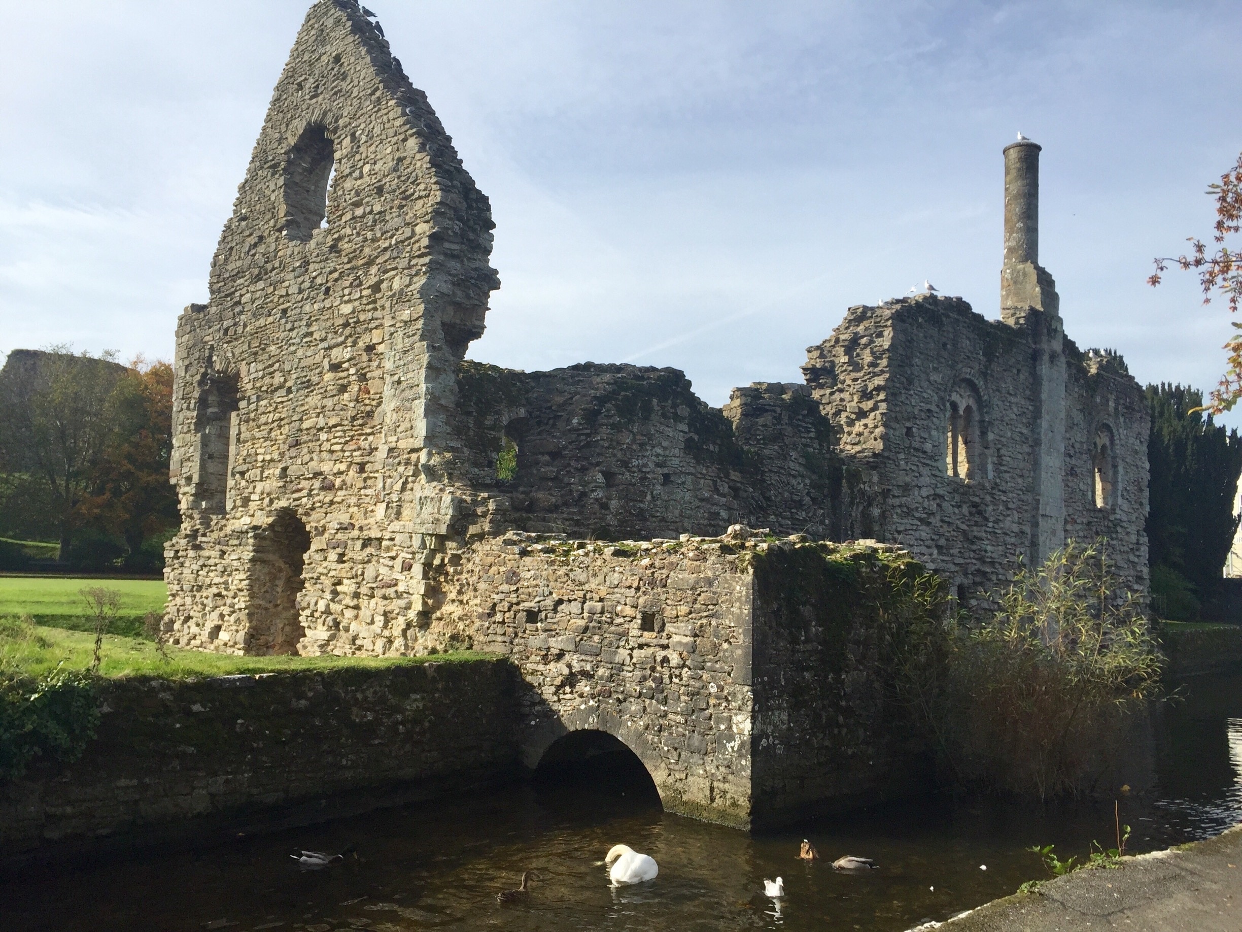 Christchurch ruins, lovely walk followed by tea and cake!