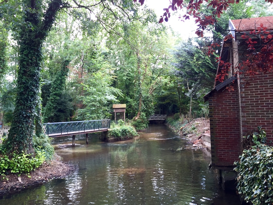 Vanne River in Sens, France.