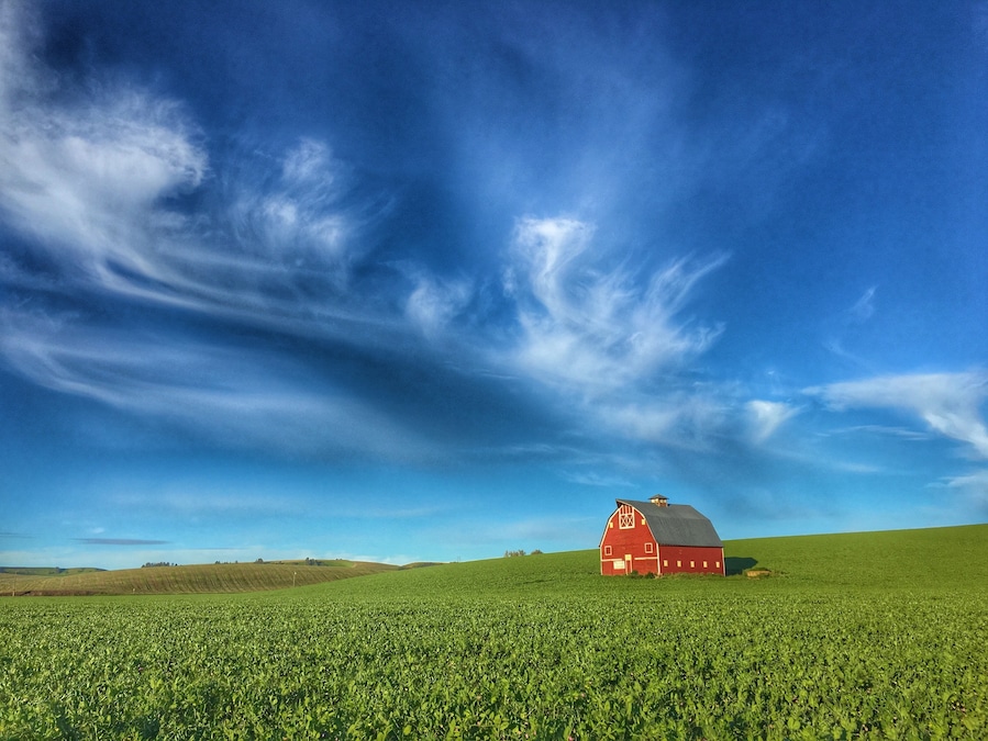 The Palouse