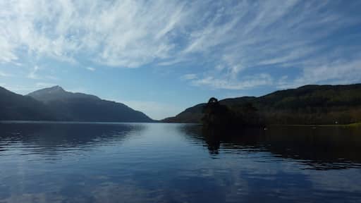 Photo de  Lauren Auerbach